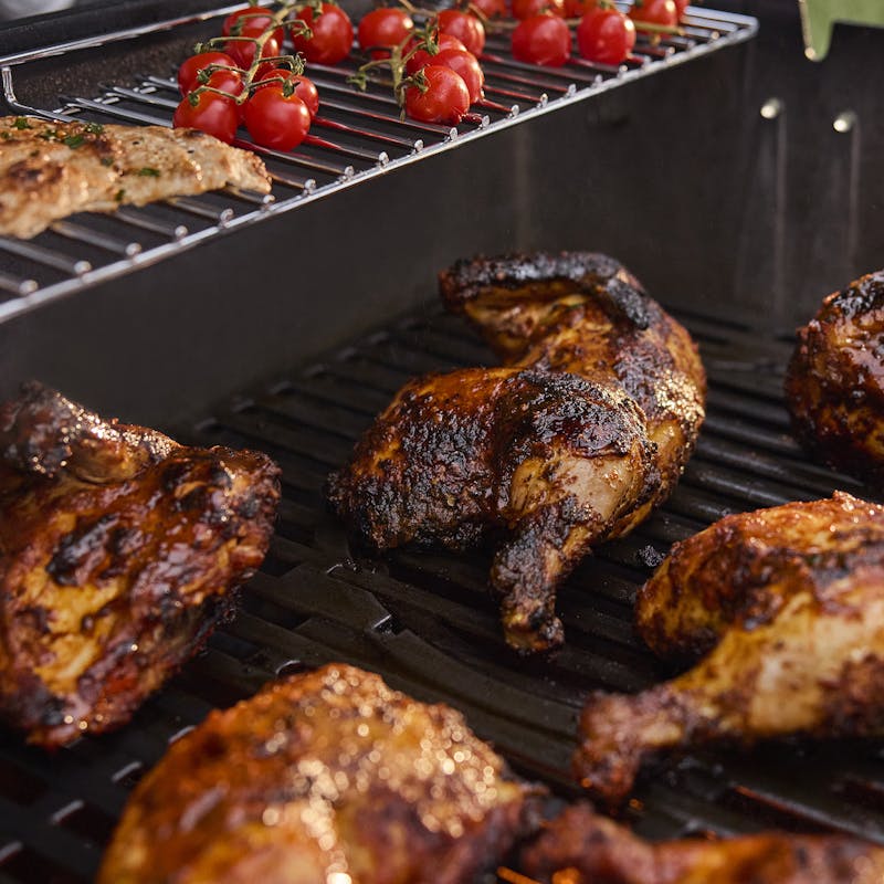 1501241 Genesis® E-335