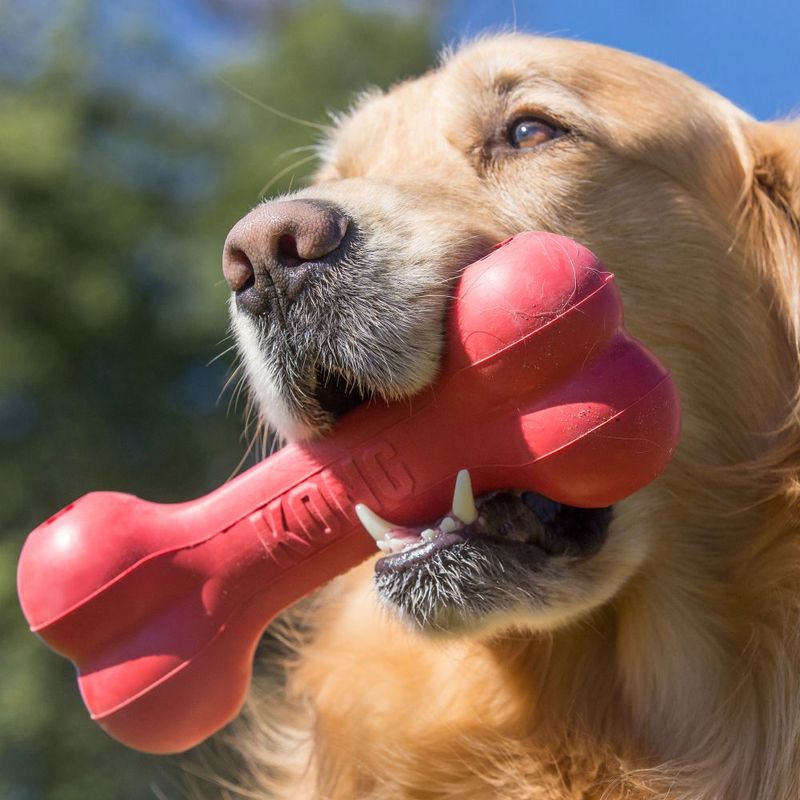 Kong Goodie Bone M