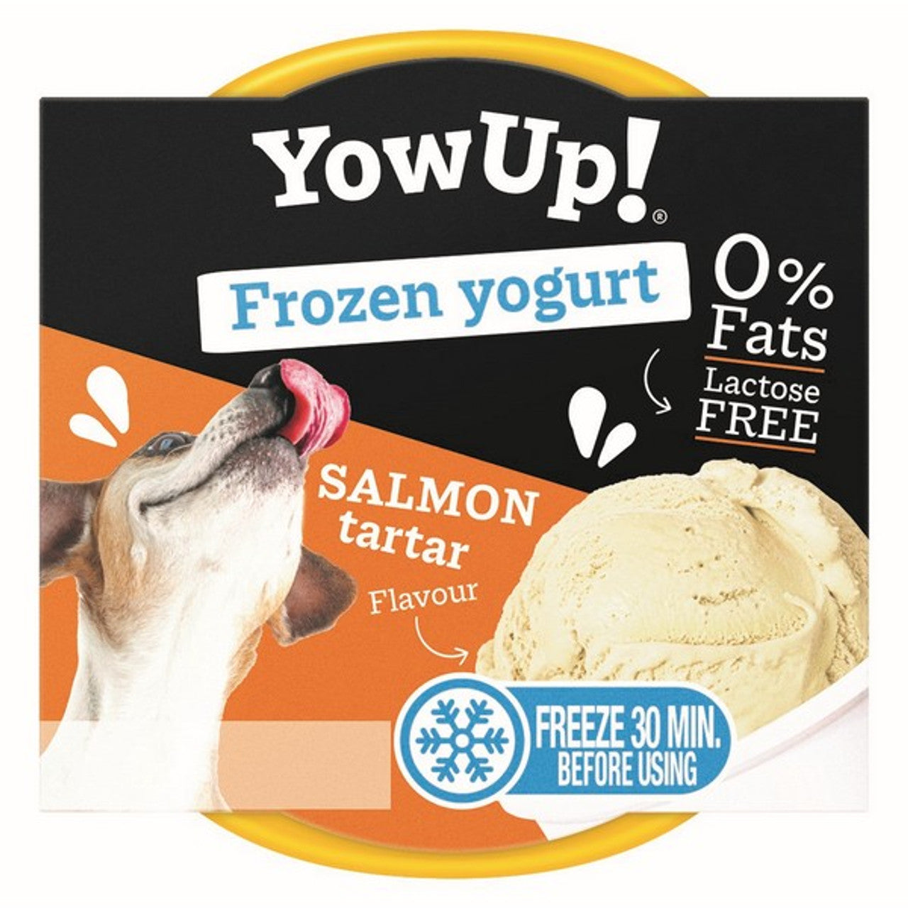 Yowup frozen yogurt salmon tartar 110 gr