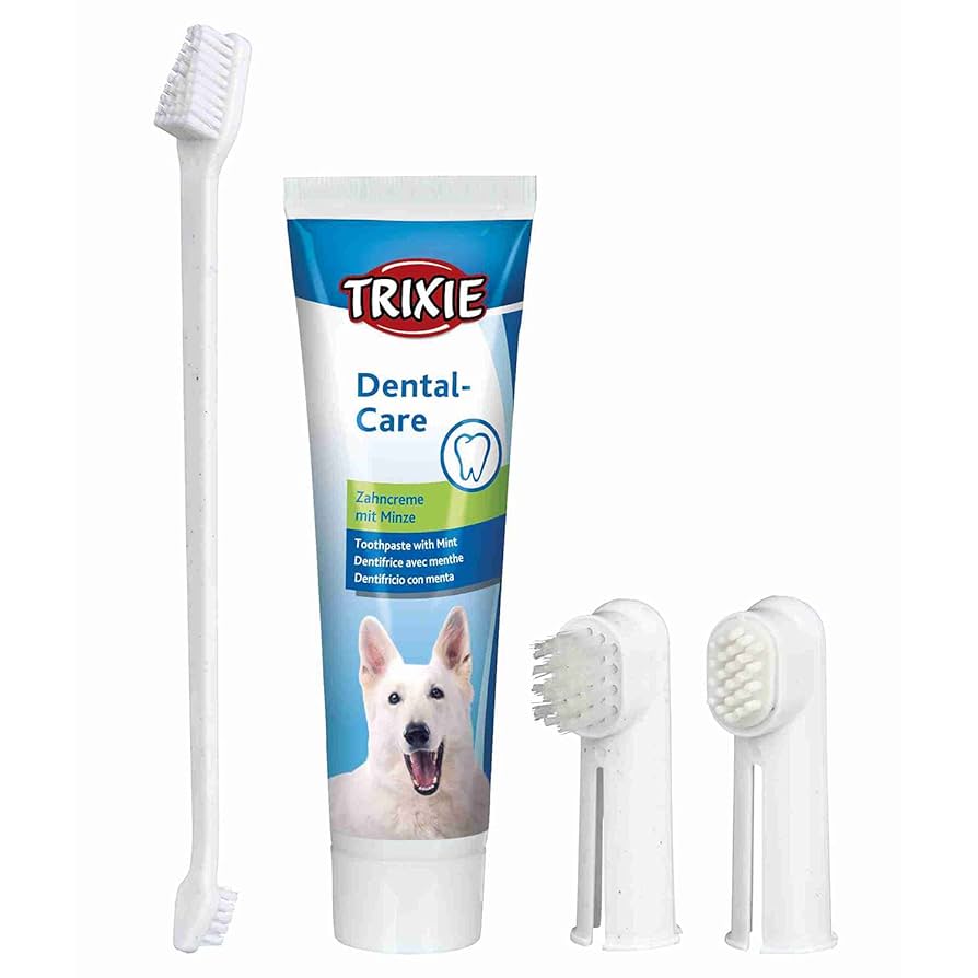 Set Per La Cura Dei Denti Per Cani