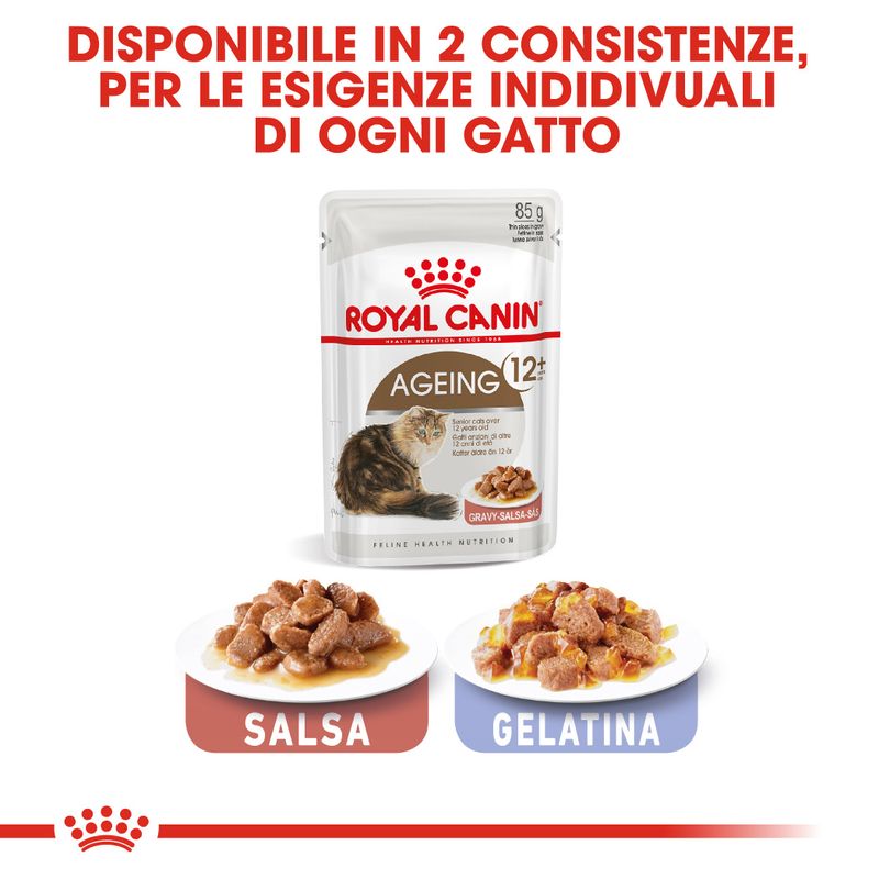Royal Canin Ageing +12