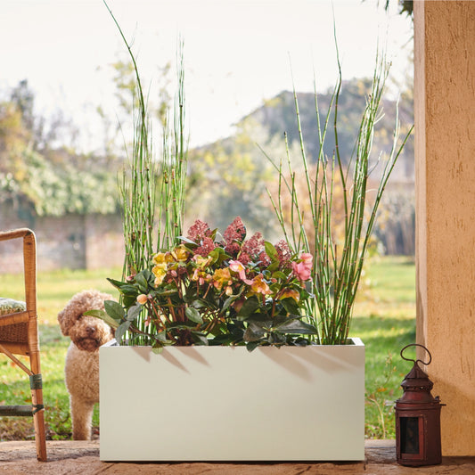 Anniversary Small 50th 75x33x33