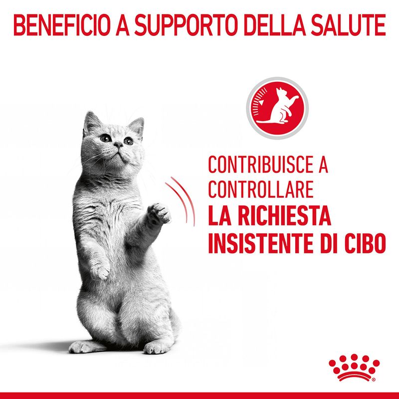 Royal Canin Appetite Control