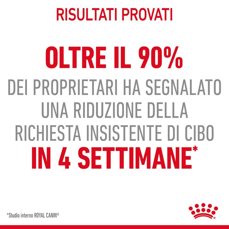 Royal Canin Appetite Control In Gelatina