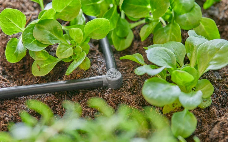 13212-20 Raccordo L 4,6 Mm - (3/16’)