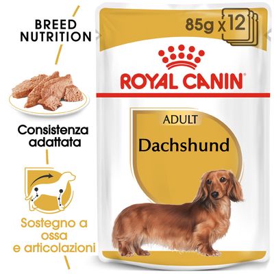 Royal Canin Bassotto