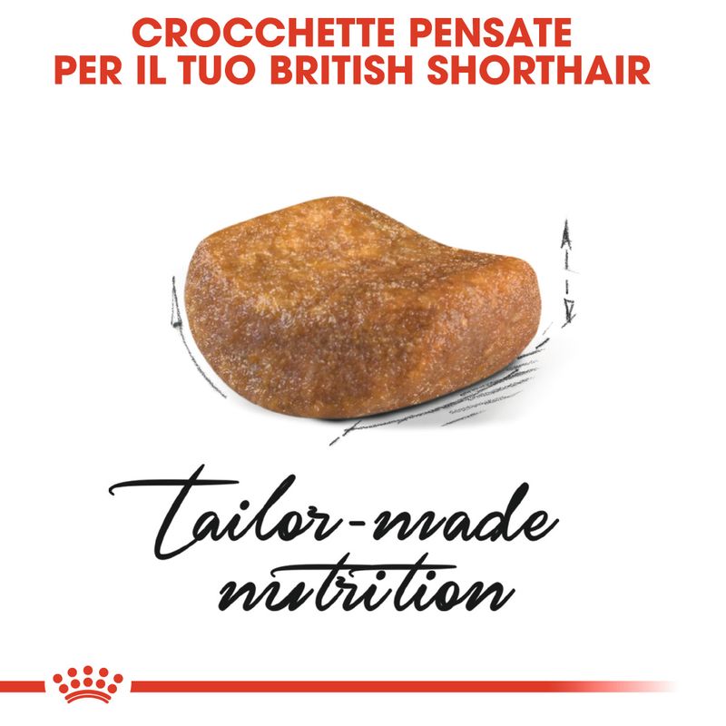 Royal Canin British Shorthair