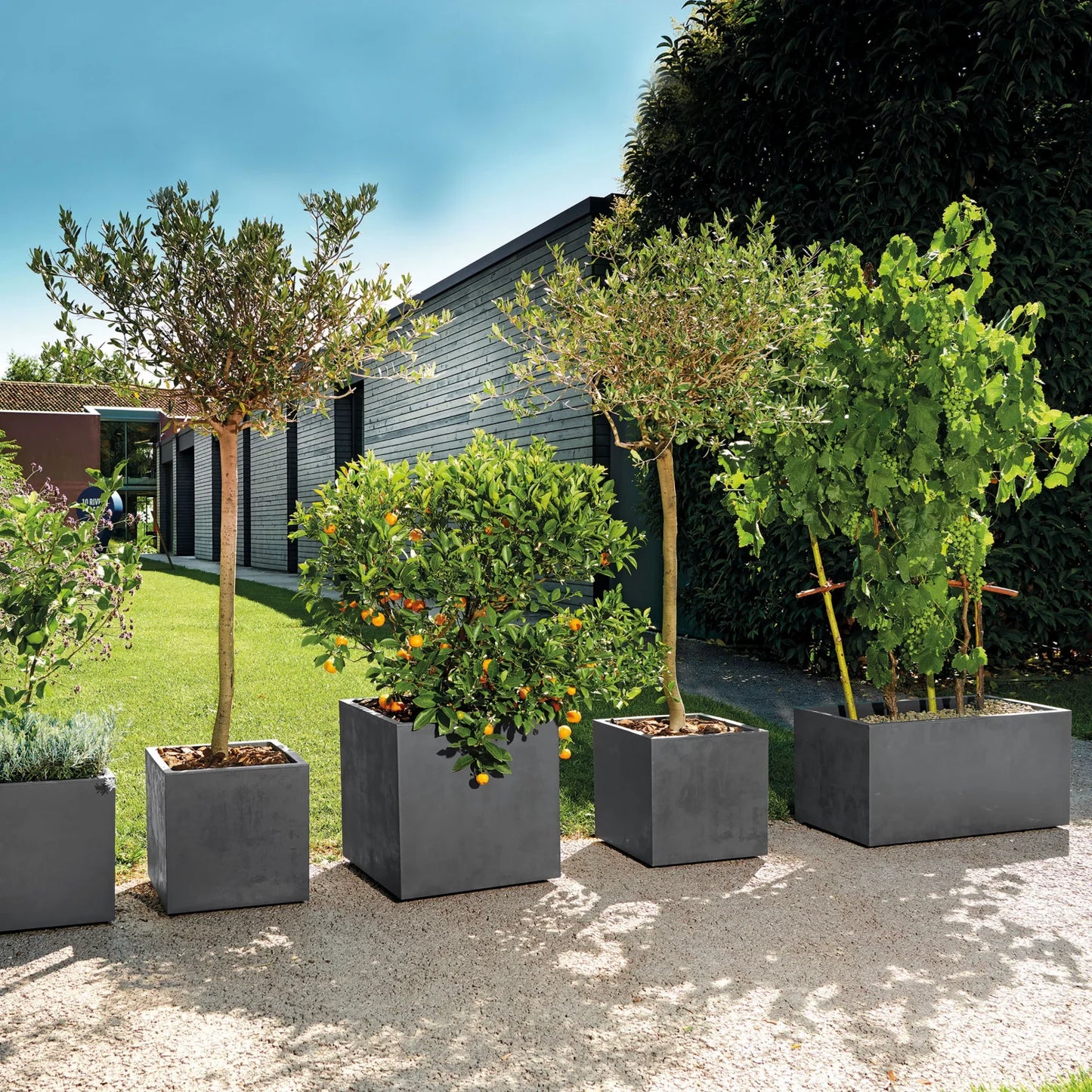 Cubo Millennium Cm39