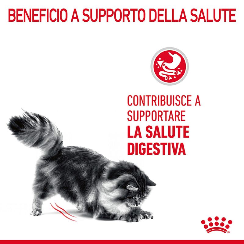 Royal Canin Digestive Care