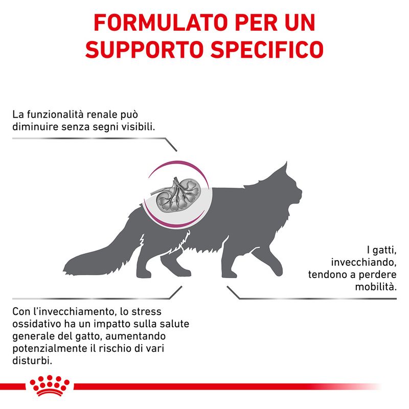 Royal Canin V-Diet Renal