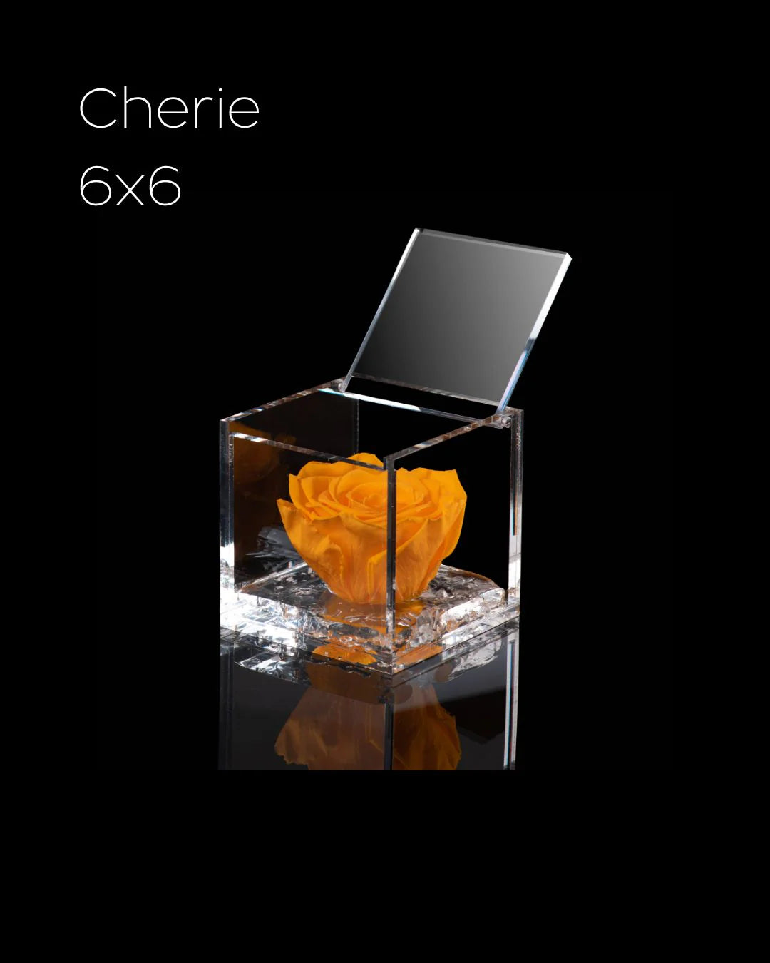Flowercube Rosa + Packaging - Arancio