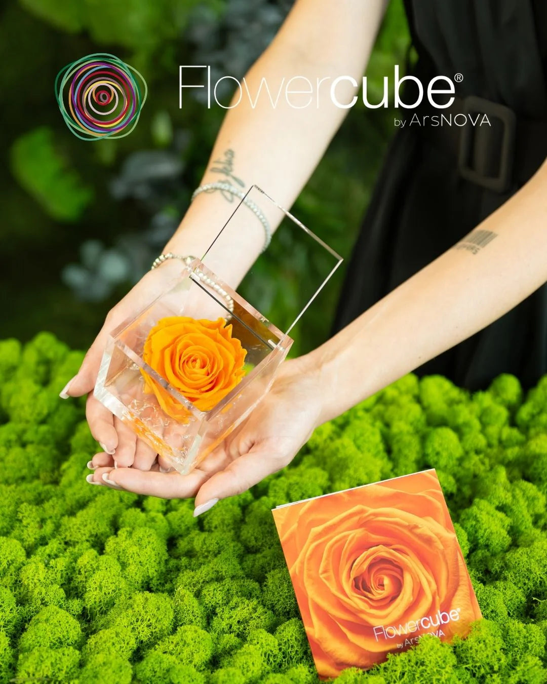 Flowercube Rosa + Packaging - Arancio