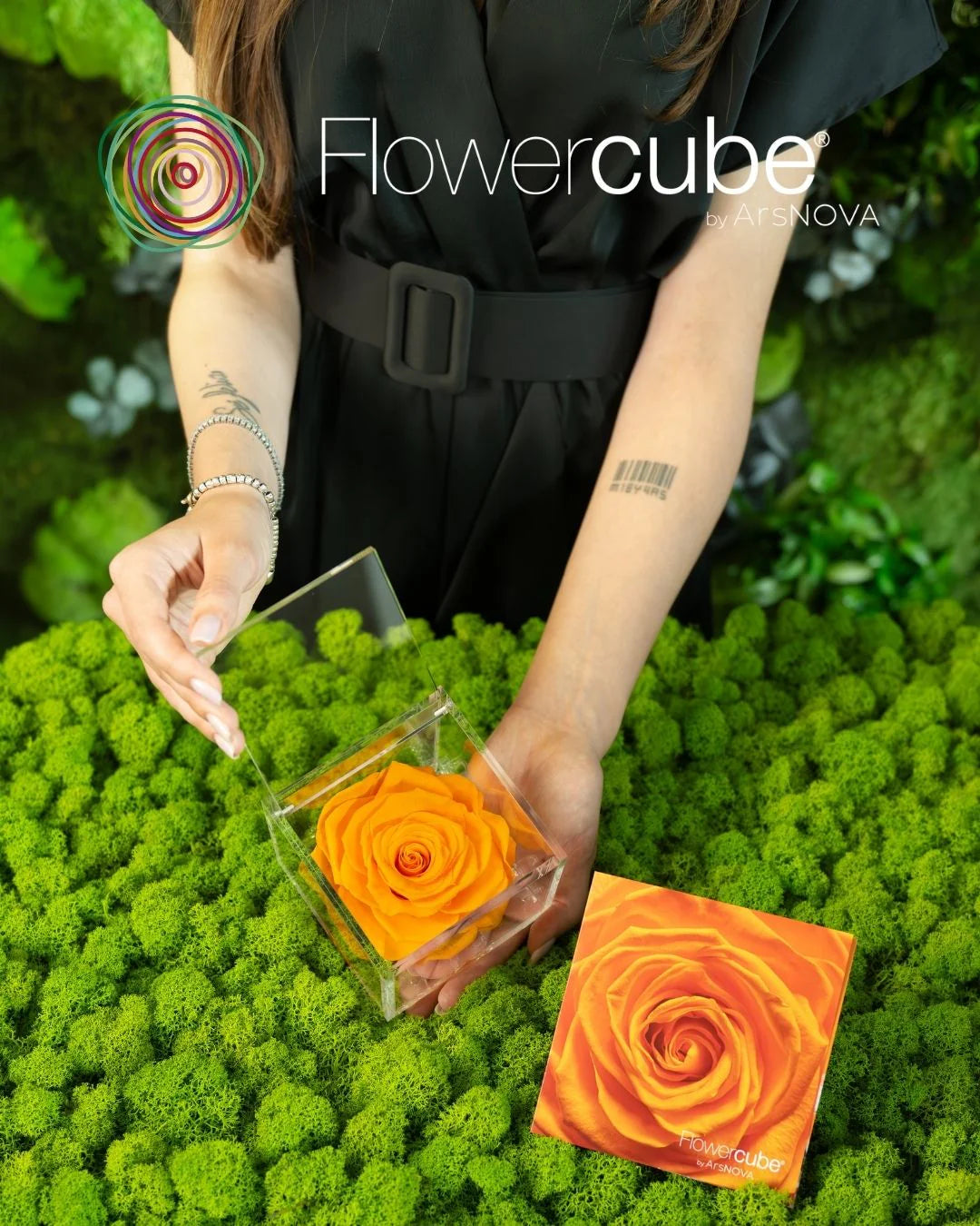 Flowercube Rosa + Packaging - Arancio