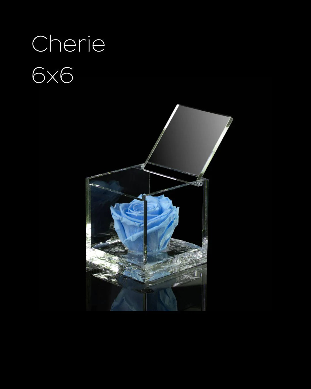 Flowercube Rosa + Packaging - Azzurro