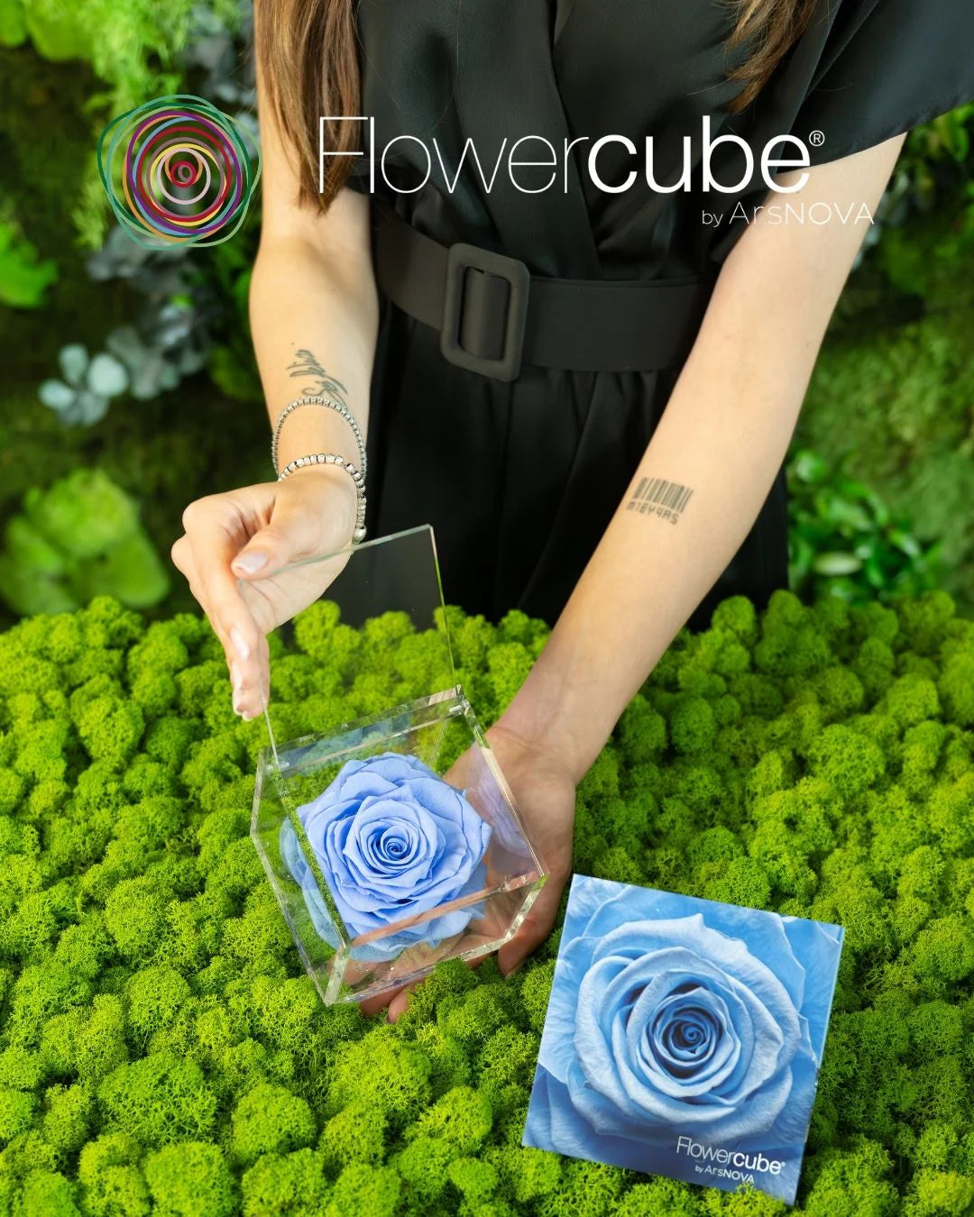 Flowercube Rosa + Packaging - Azzurro