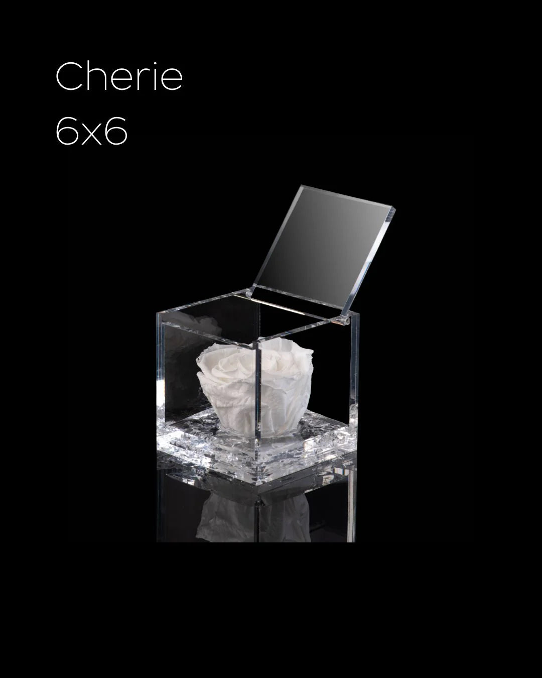Flowercube Rosa + Packaging - Bianco