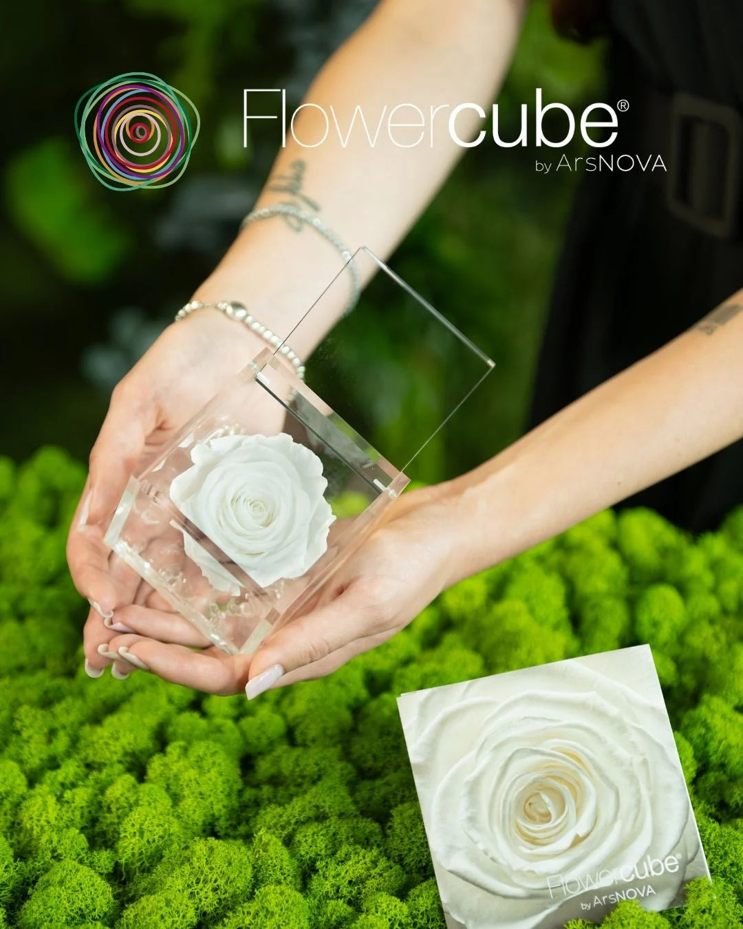 Flowercube Rosa + Packaging - Bianco