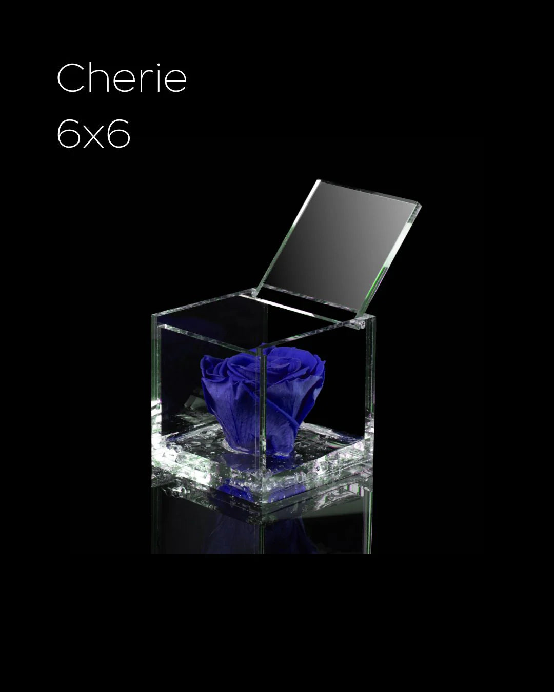 Flowercube Rosa + Packaging - Blu