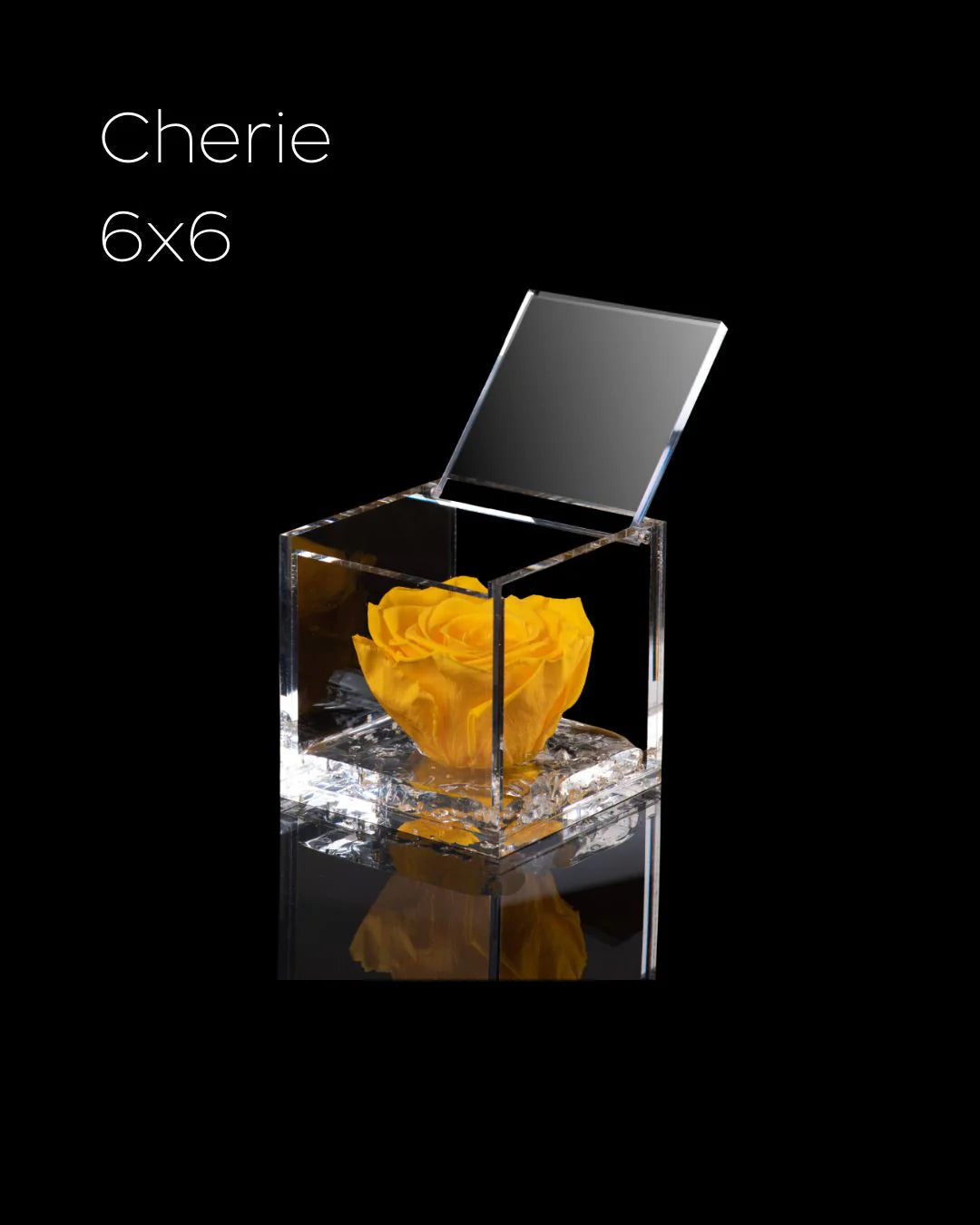 Flowercube Rosa + Packaging - Giallo