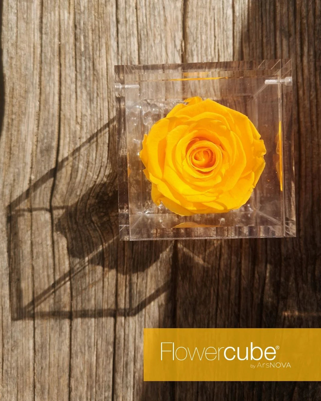 Flowercube Rosa + Packaging - Giallo
