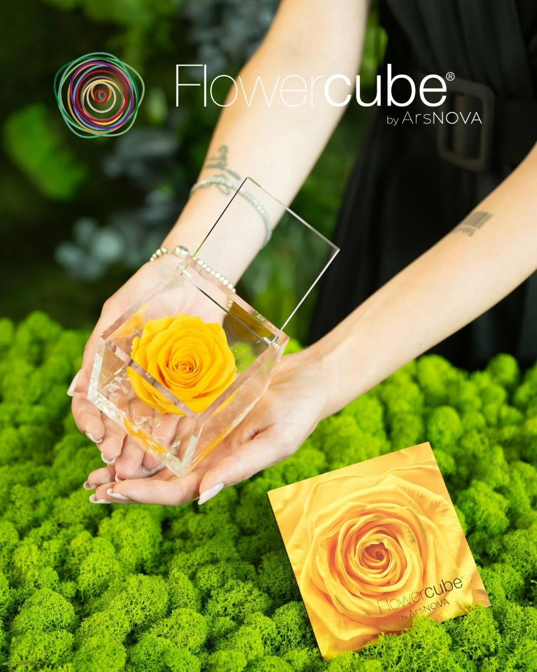 Flowercube Rosa + Packaging - Giallo