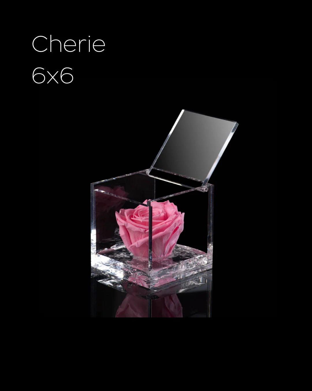 Flowercube Rosa + Packaging - Rosa
