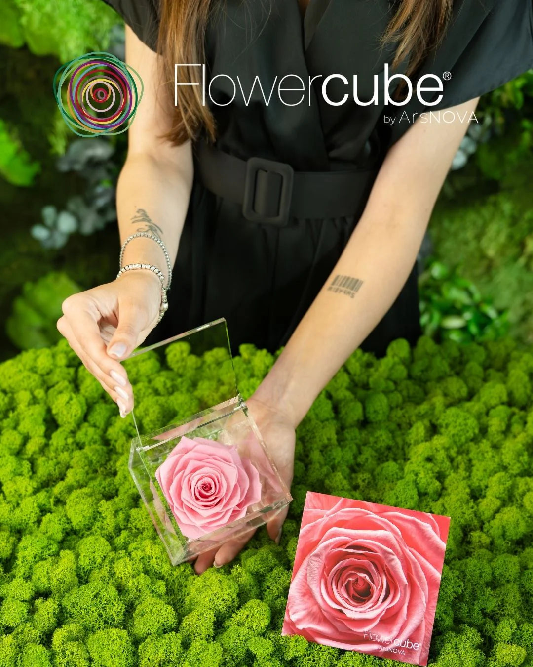 Flowercube Rosa + Packaging - Rosa