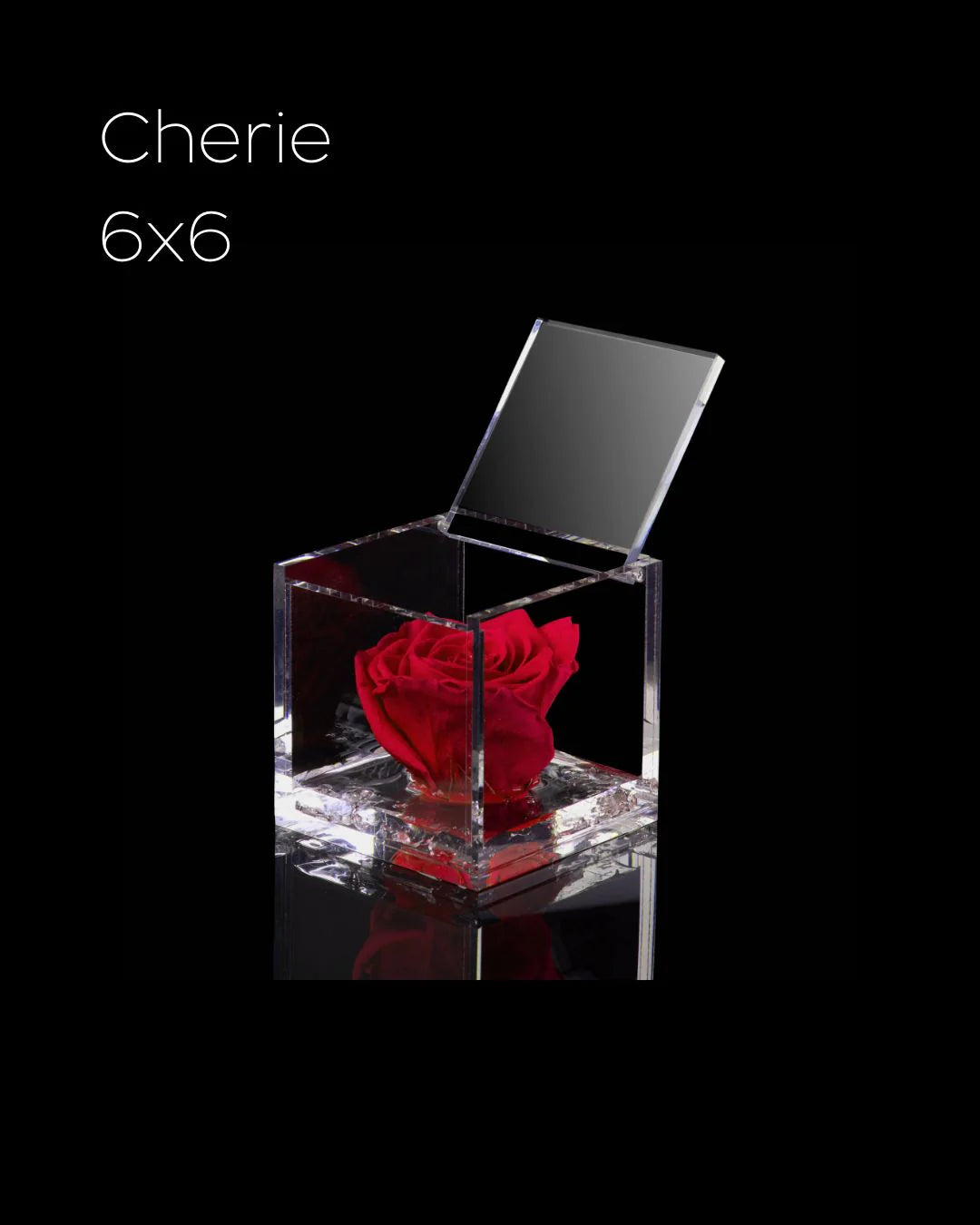 Flowercube Rosa + Packaging - Rosso