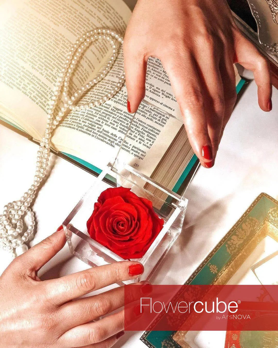 Flowercube Rosa + Packaging - Rosso