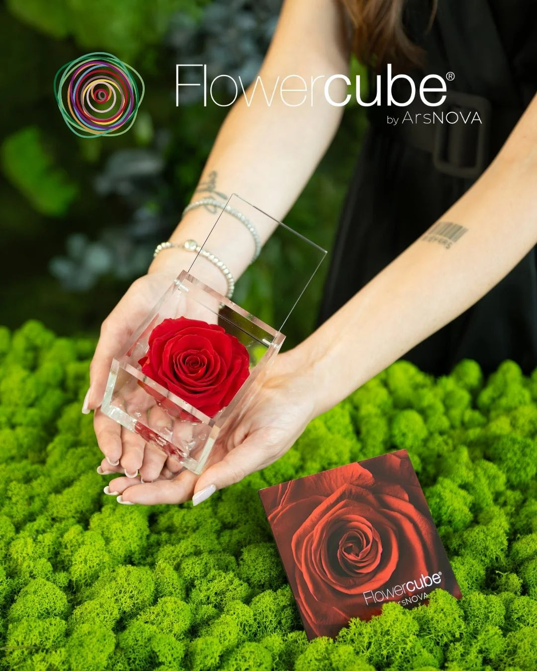Flowercube Rosa + Packaging - Rosso