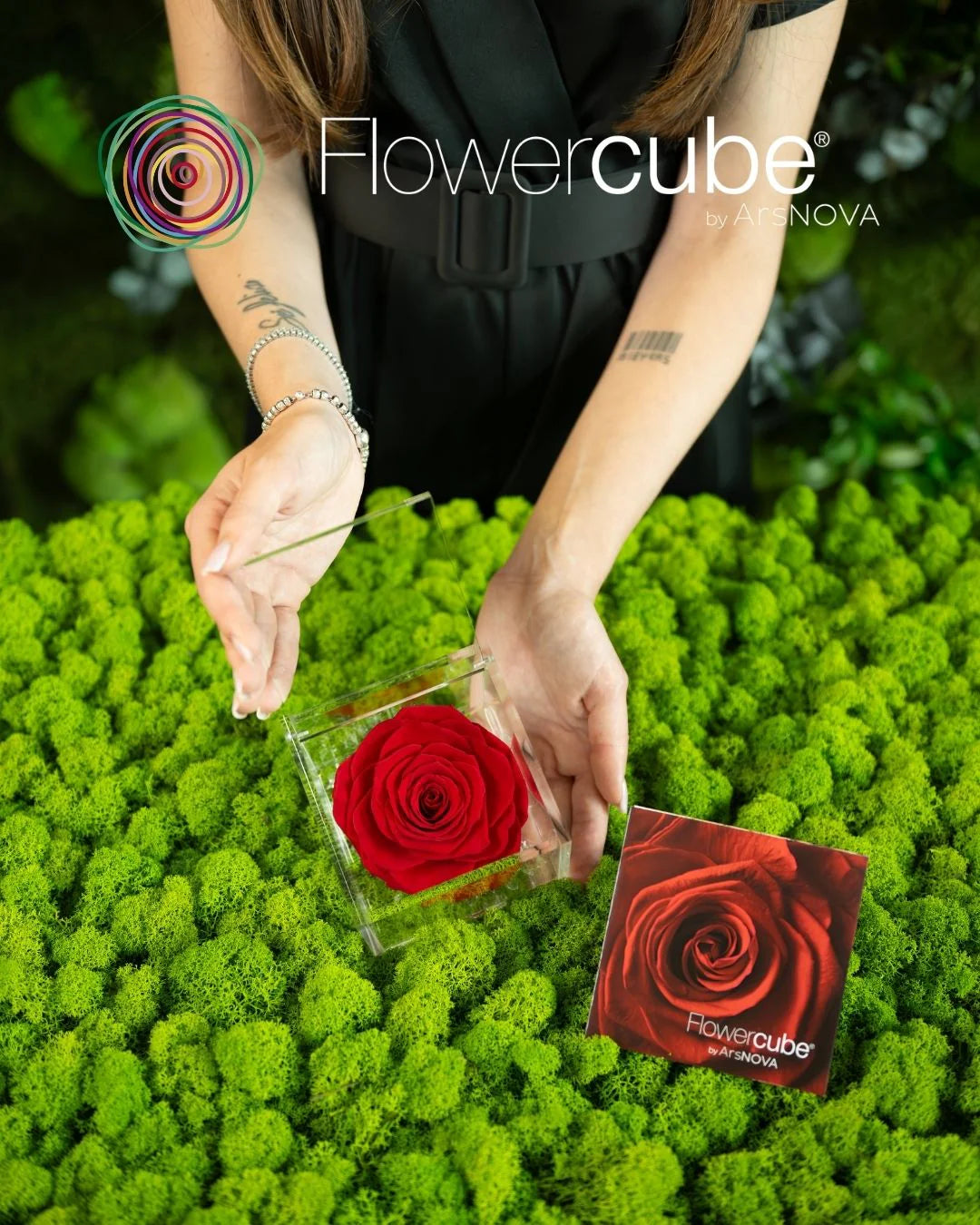 Flowercube Rosa + Packaging - Rosso