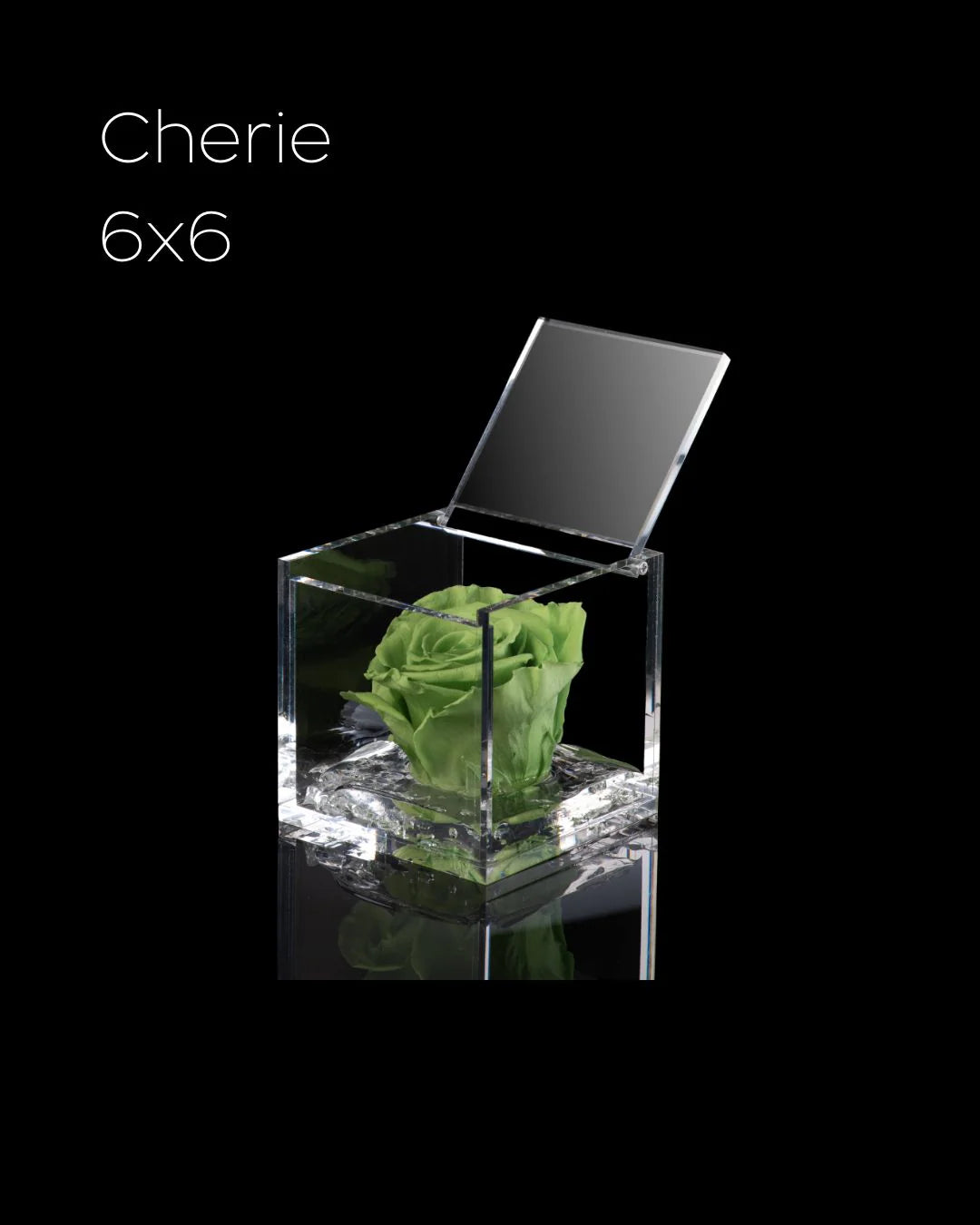 Flowercube Rosa + Packaging - Verde
