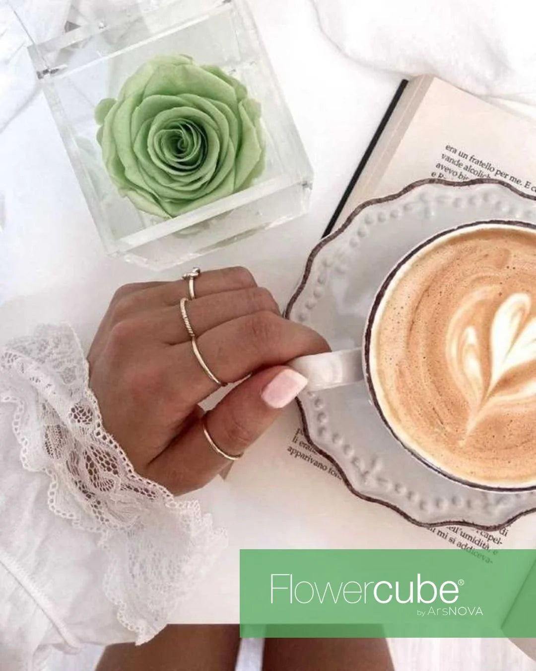 Flowercube Rosa + Packaging - Verde
