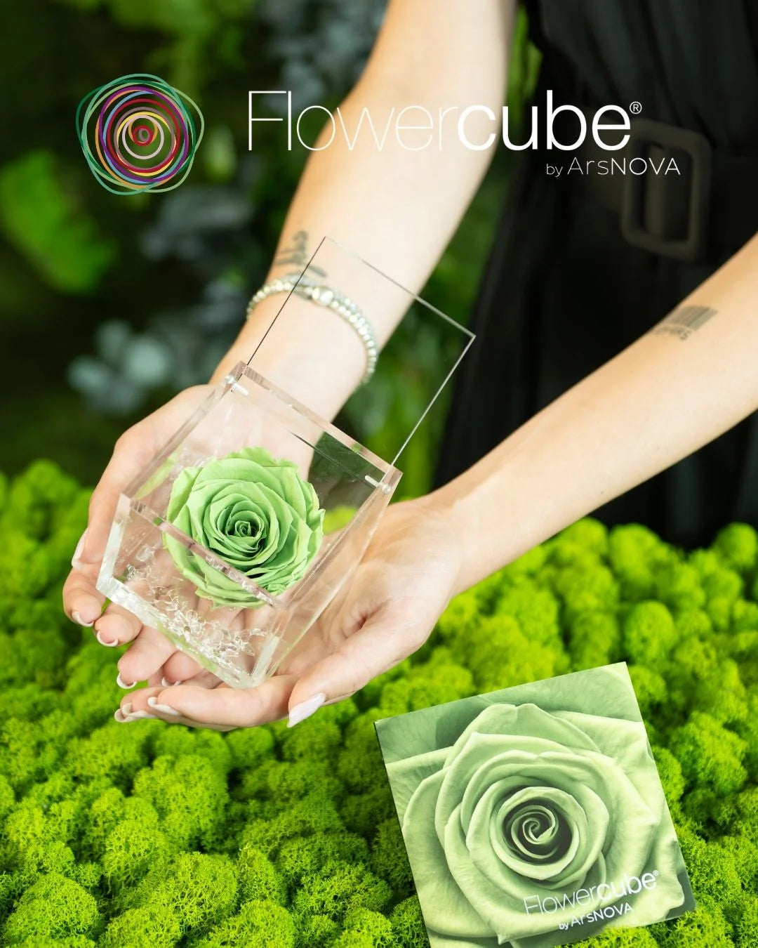 Flowercube Rosa + Packaging - Verde