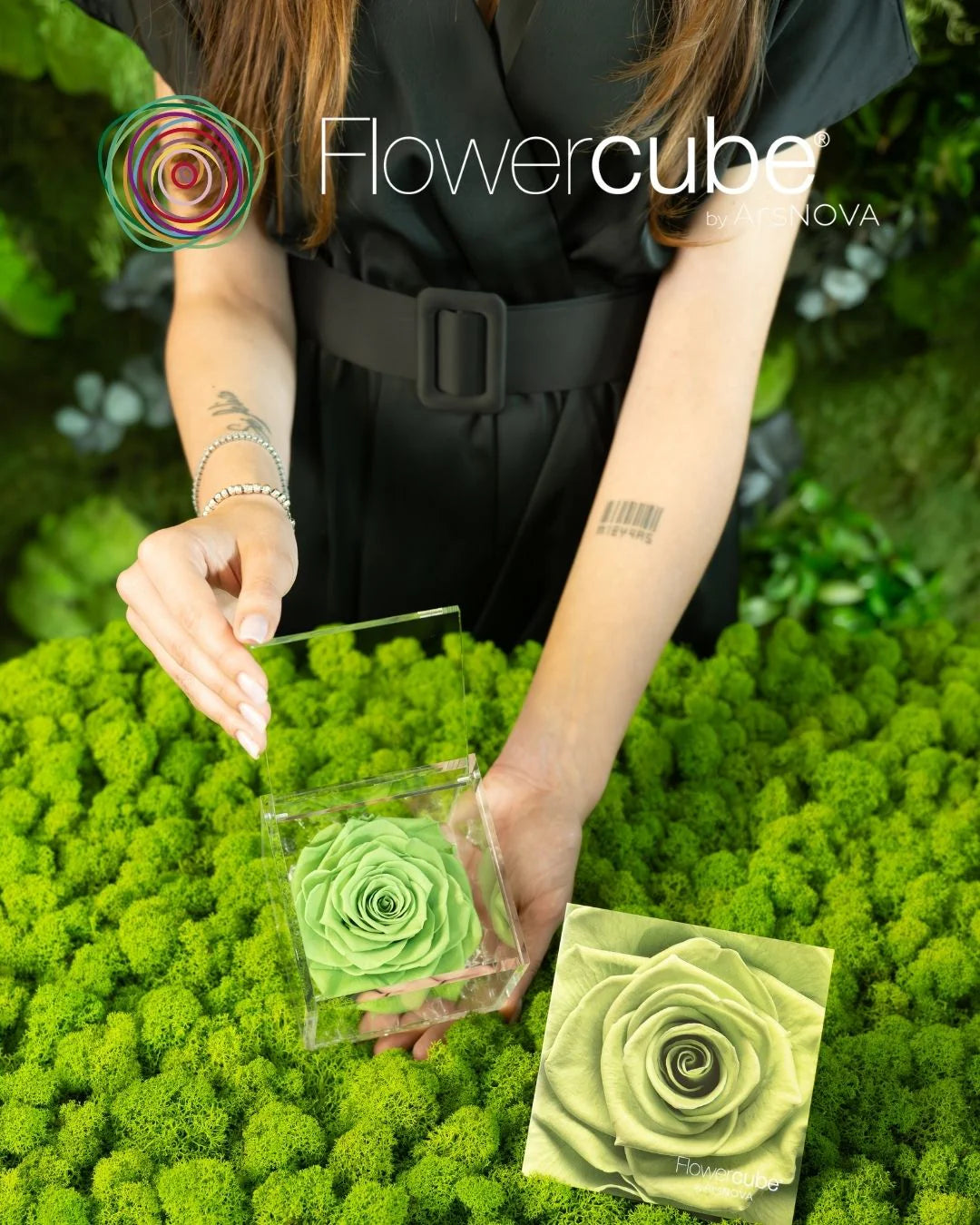 Flowercube Rosa + Packaging - Verde