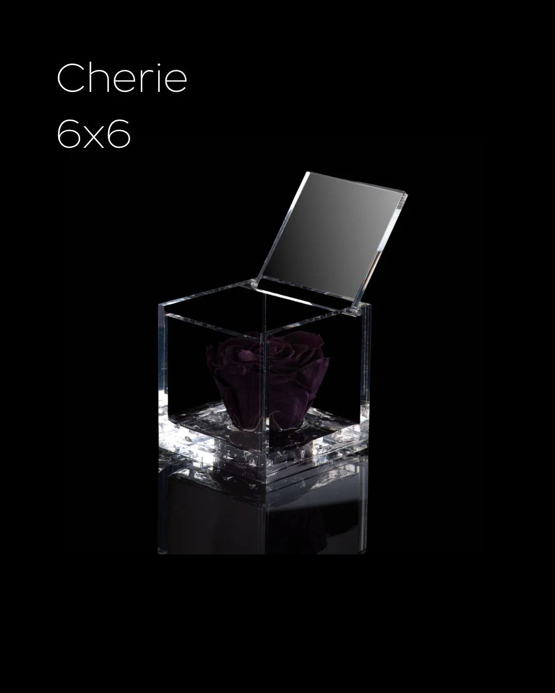 Flowercube Rosa + Packaging - Viola