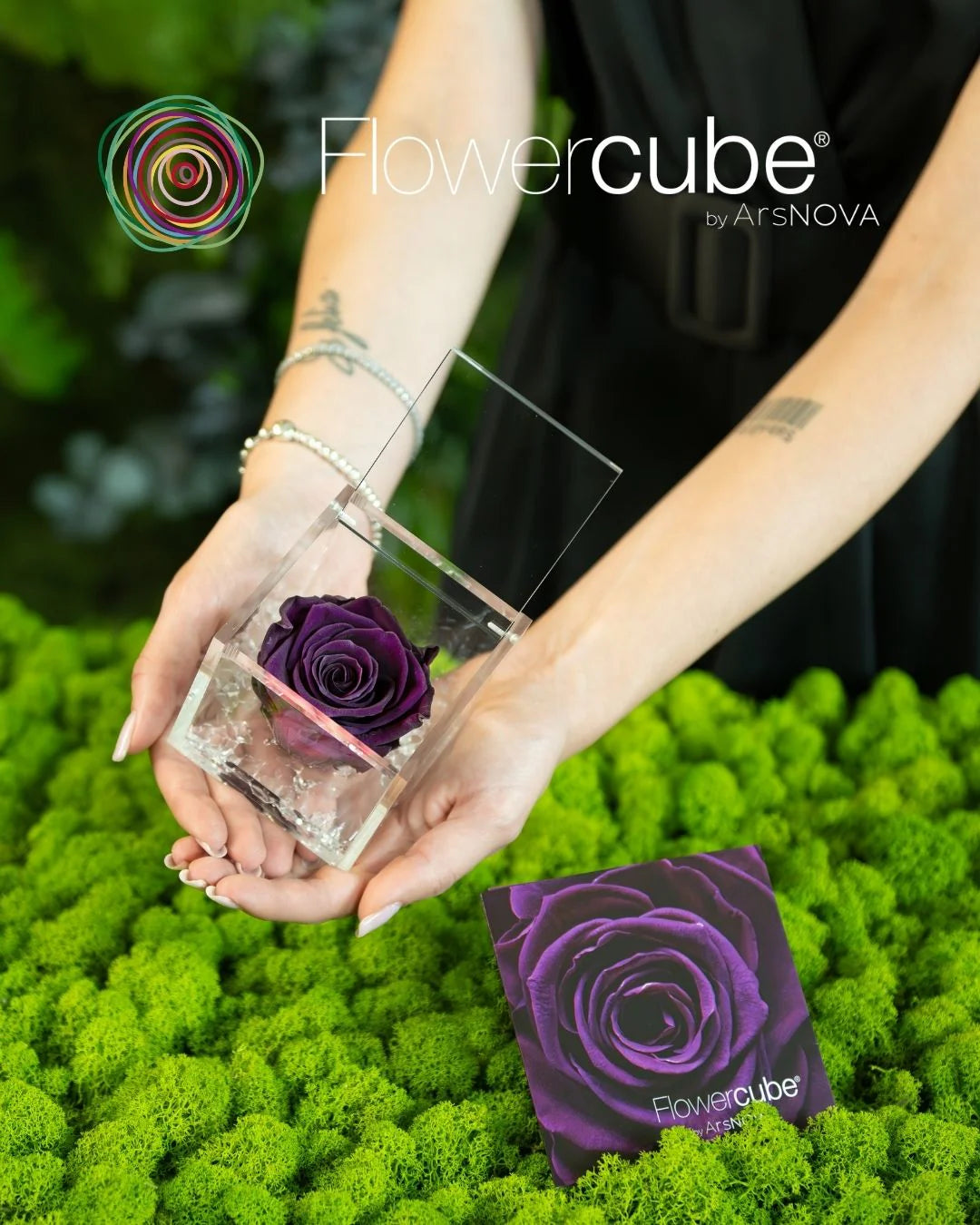 Flowercube Rosa + Packaging - Viola