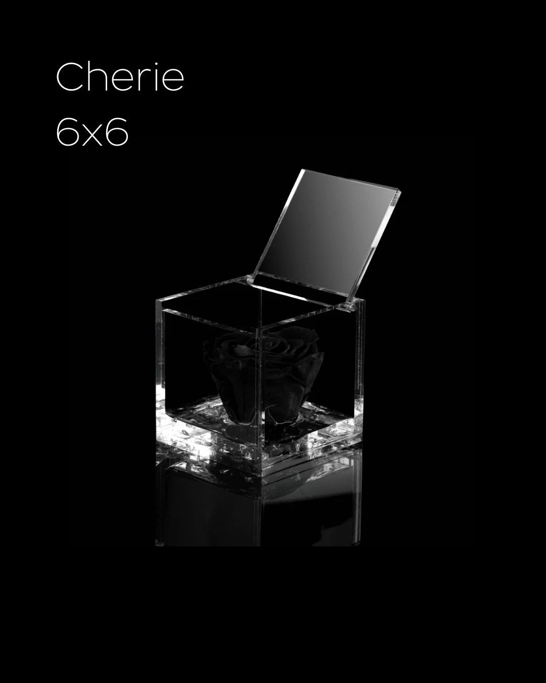 Flowercube Rosa + Packaging - Nero