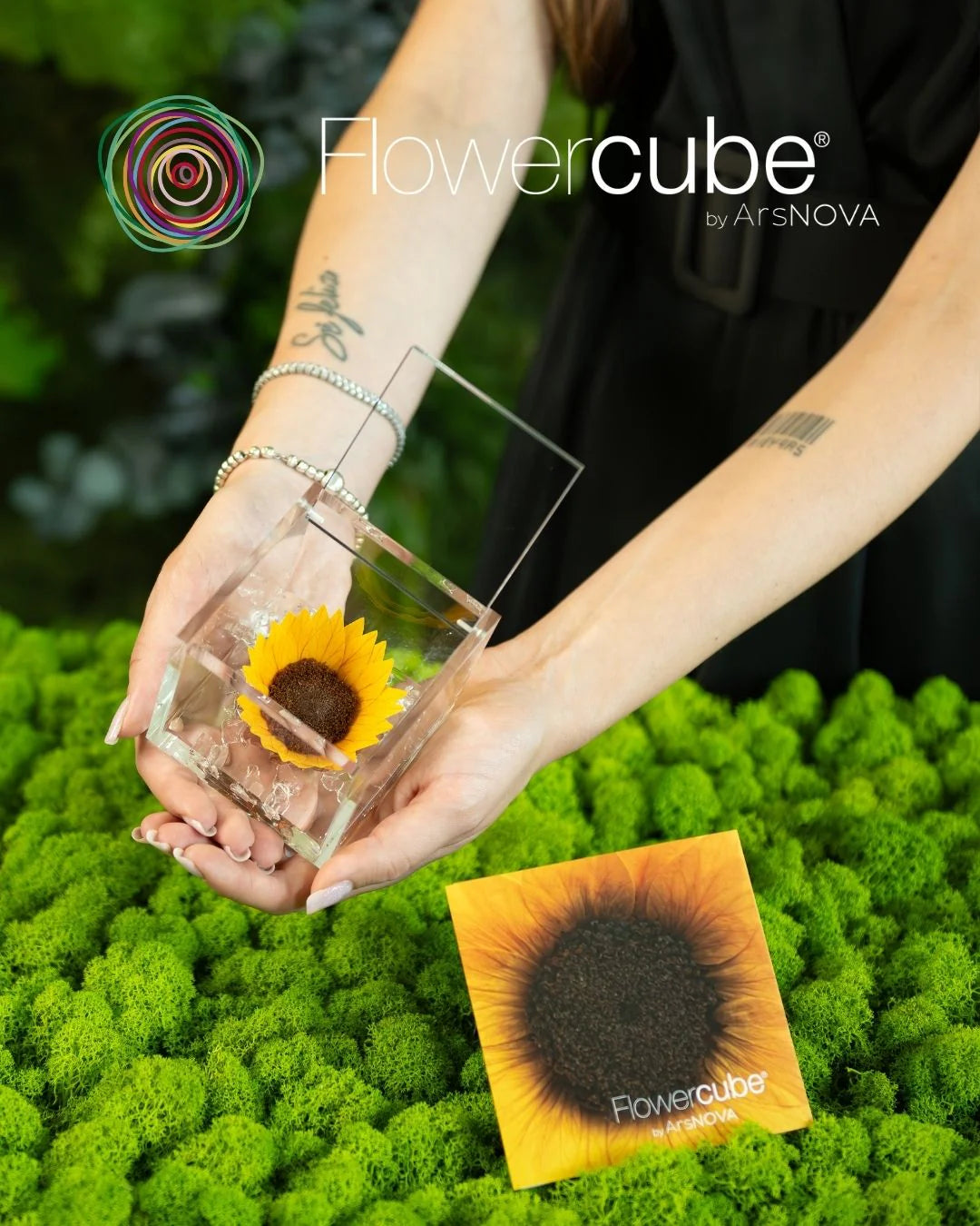 Flowercube Special Ed. Girasole + Packaging