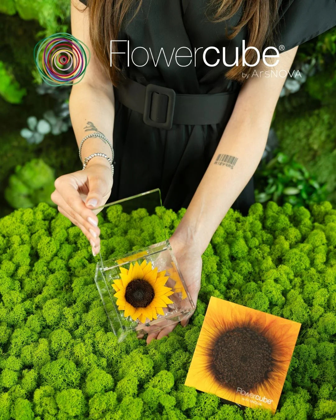Flowercube Special Ed. Girasole + Packaging