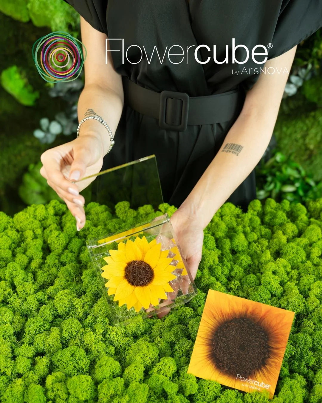 Flowercube Special Ed. Girasole + Packaging