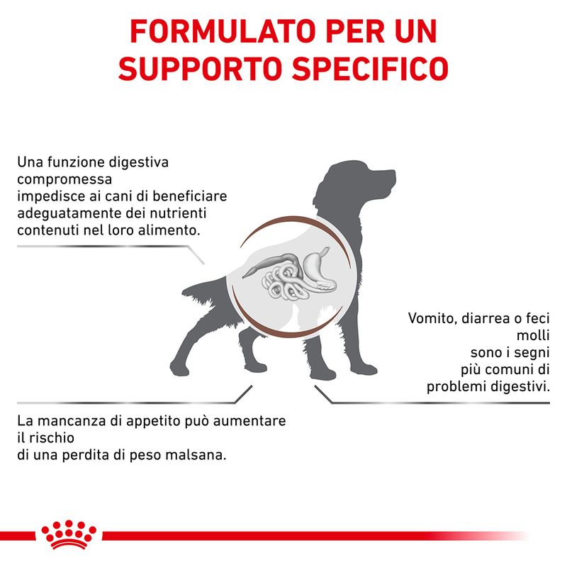 Royal Canin V-Diet Gastrointestinal Low Fat