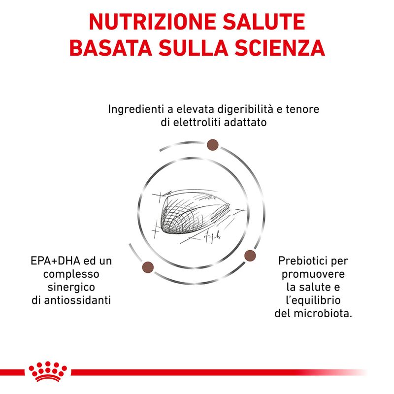 Royal Canin V-Diet Gastro Intestinal Moderate Calorie