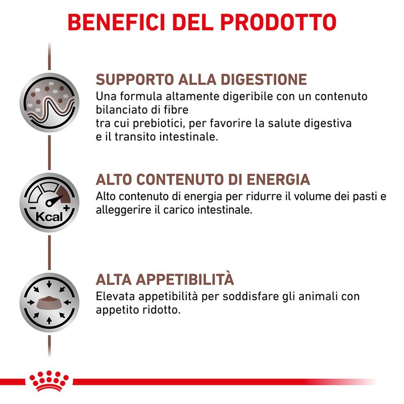 Royal Canin V-Diet Cat Gastro Intestinal