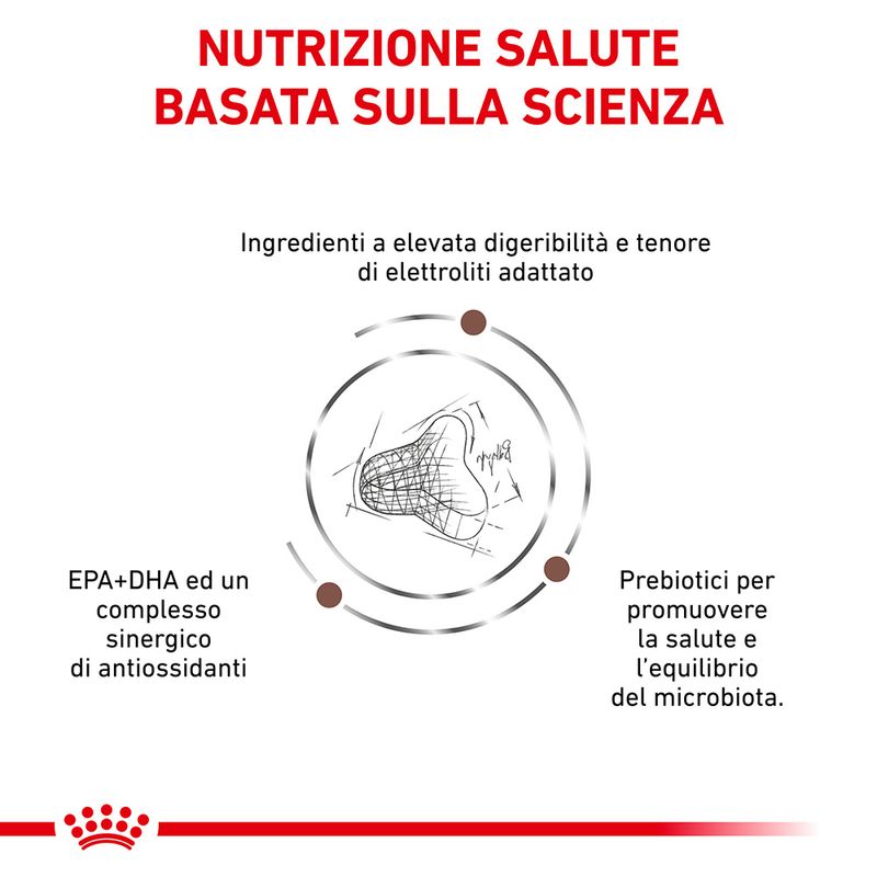 Royal Canin V-Diet Fibre Response