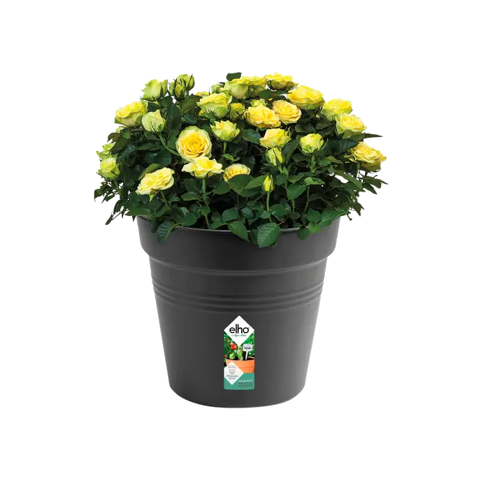 Green Basics Growpot Living Nero