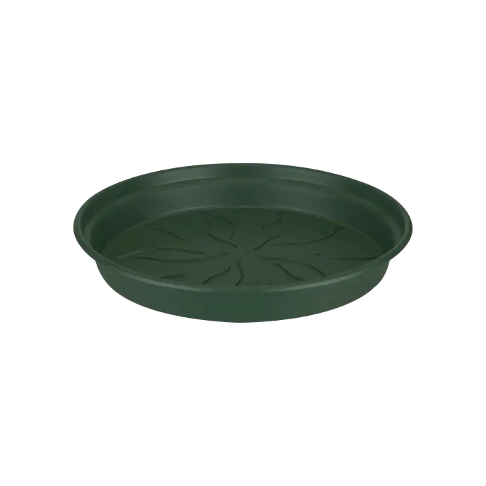 Green Basics Saucer Leaf Verde