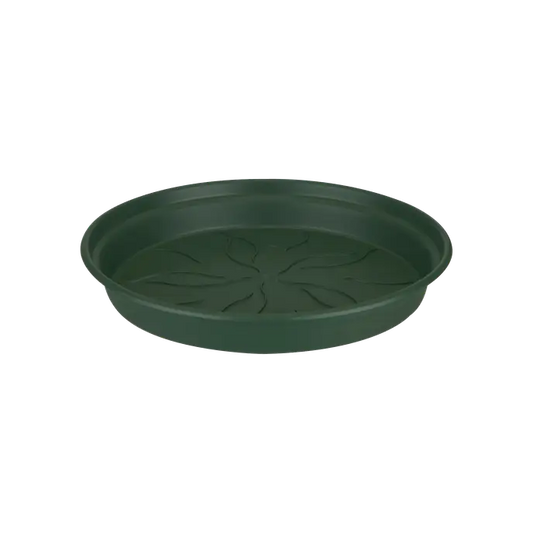 Green Basics Saucer Leaf Verde