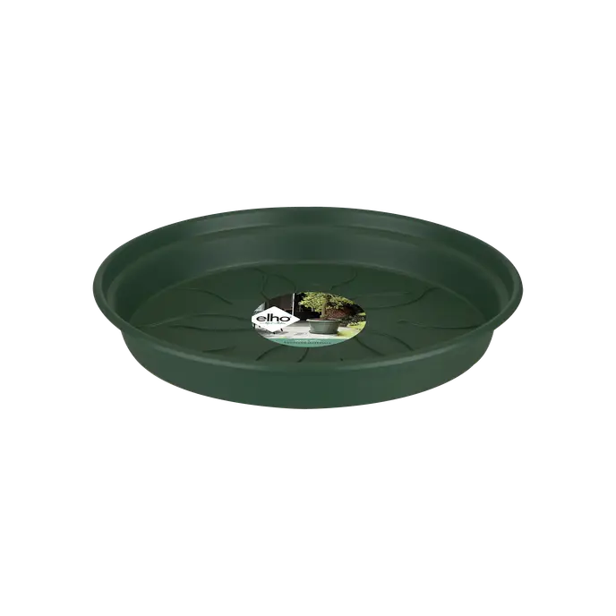Green Basics Saucer Leaf Verde