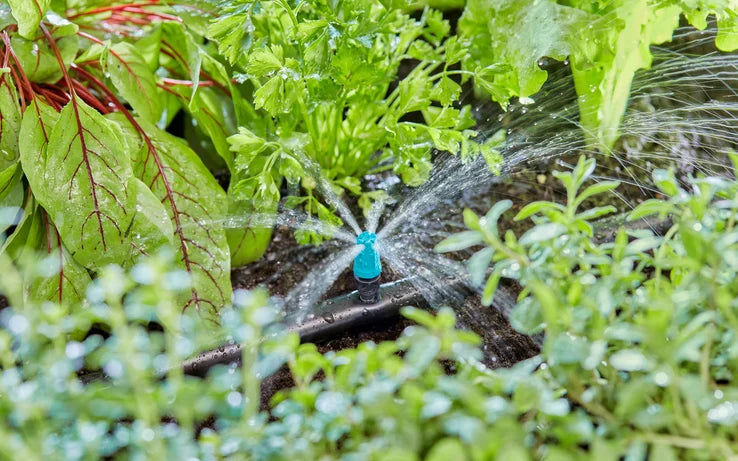 13306-26 Microzampillo